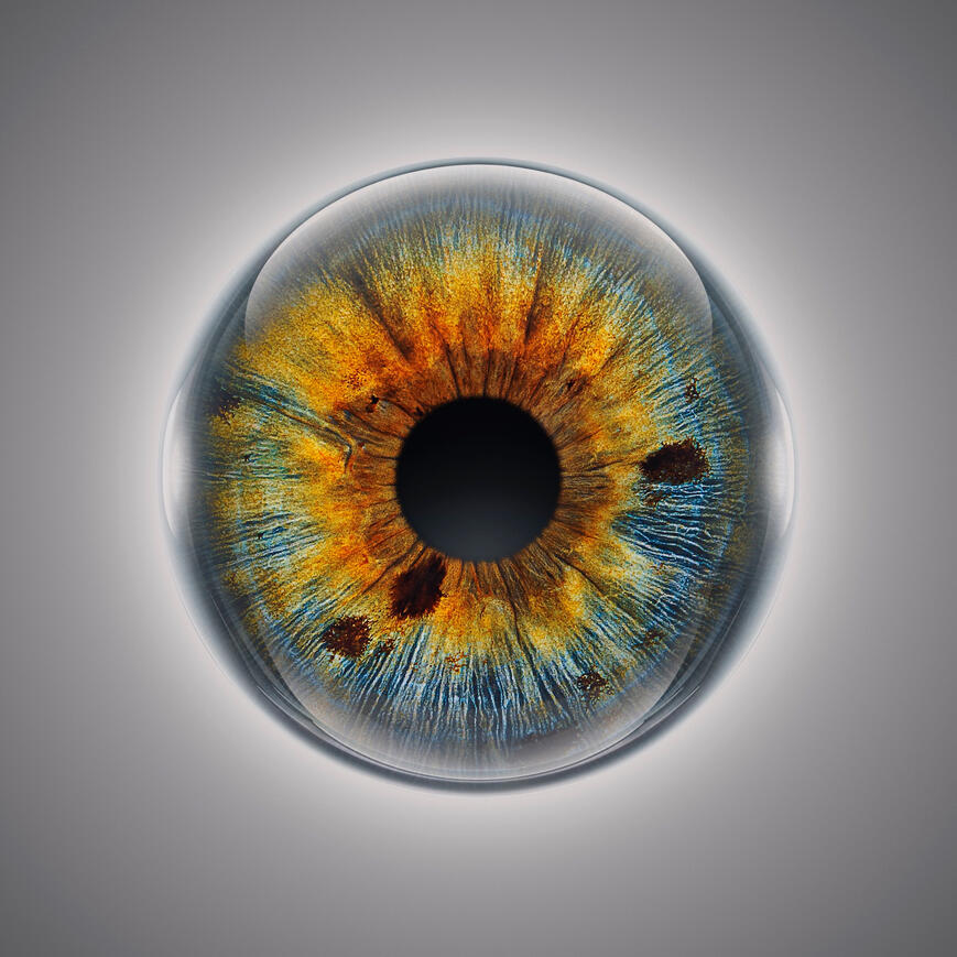 Grüne Iris Beispiel